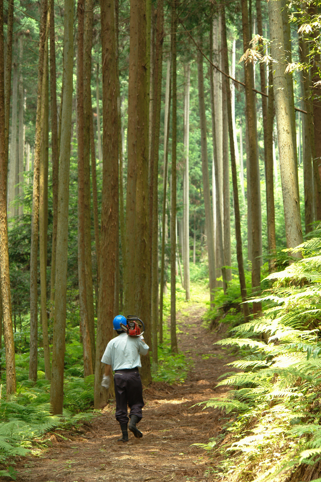 吉野林業の伝統を守る山守