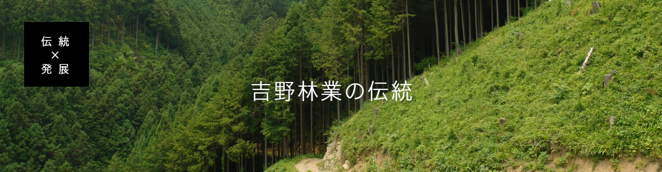 吉野林業の伝統